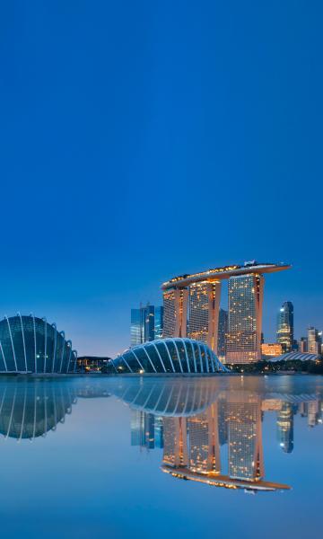 Singapore
& Regional
Business